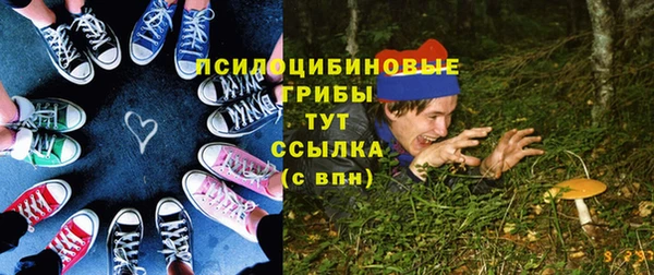 стаф Надым