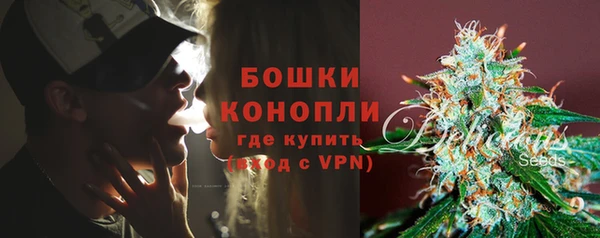 стаф Надым