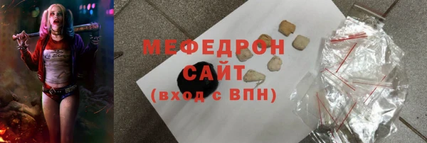 индика Гатчина