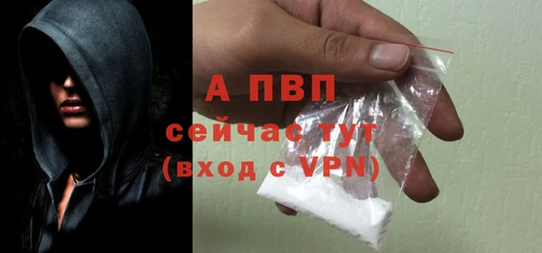 индика Гатчина