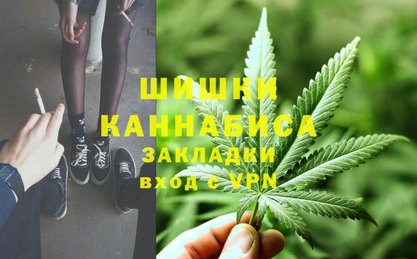 индика Гатчина