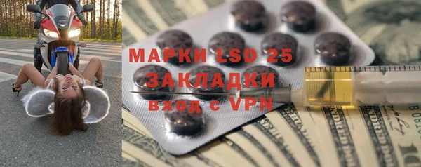 стаф Надым