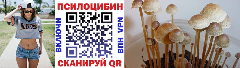 Галлюциногенные грибы мицелий  Нея 