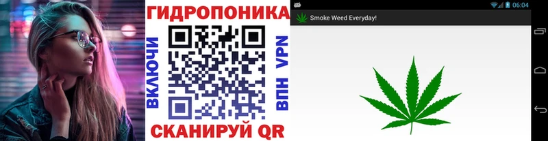 сколько стоит  Нея  Канабис семена 